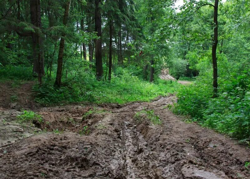 Лесная грязевая дорога фото Flooding on farmland stock photo. Image of outdoors, rain - 35432146
