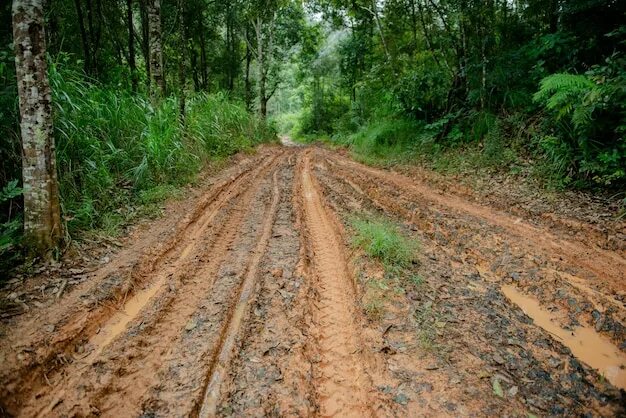 Лесная грязевая дорога фото Premium Photo Dust Road in green countryside