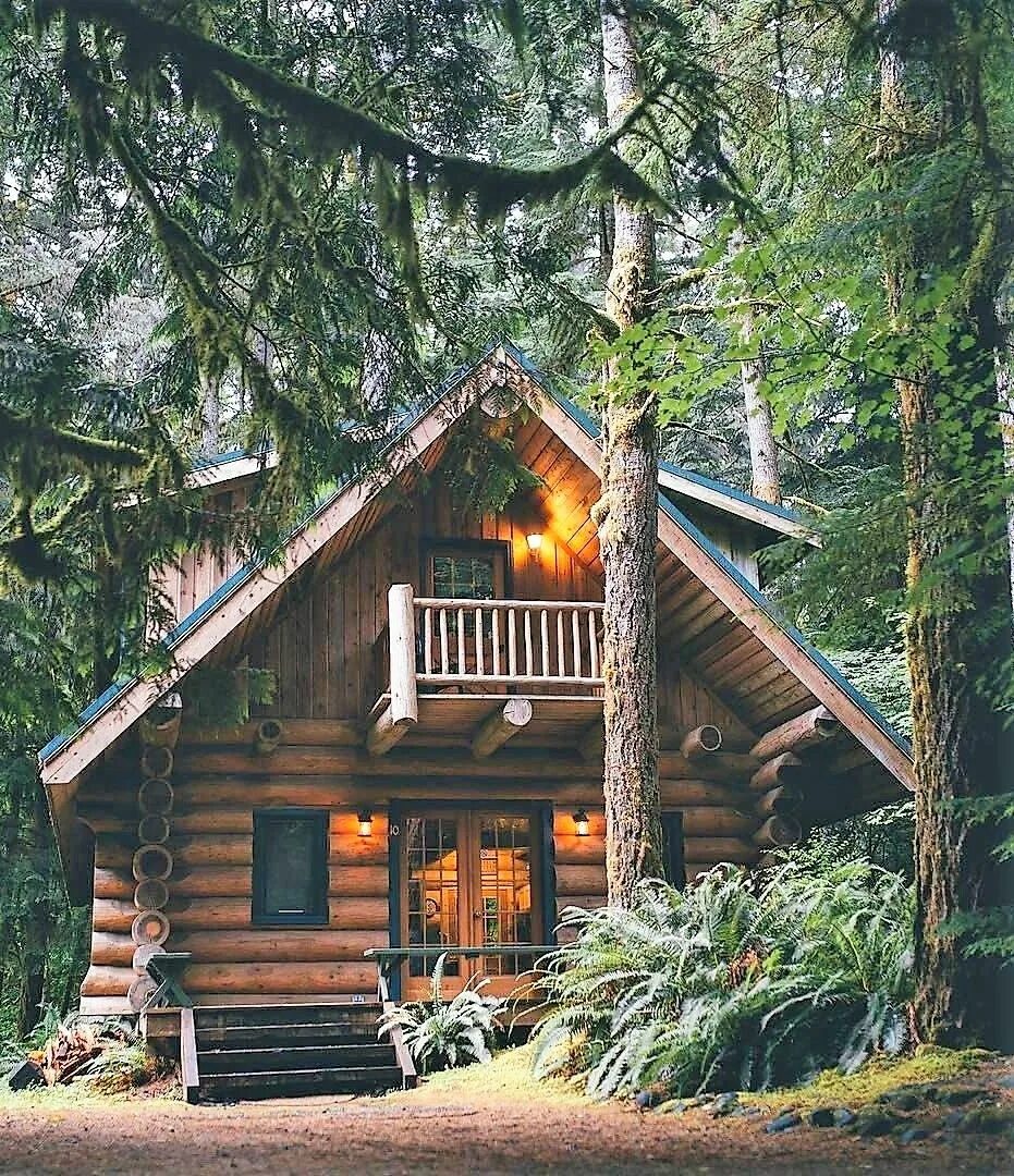 Лесная избушка фото Pin on Cabin life !!! Small log cabin, Log cabin homes, House in the woods
