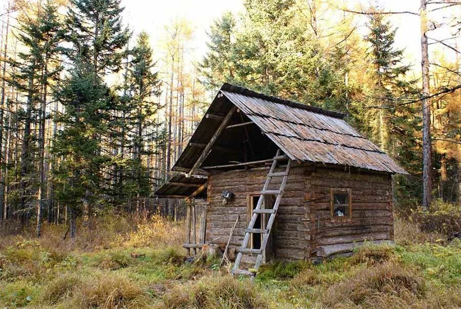 Лесная избушка фото Октябрь в Сихотэ-Алинском заповеднике