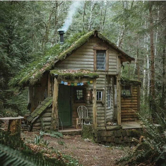 Лесная избушка фото To Live Amongst The Animals Of The Forest Cabins in the woods, Old cottage, Witc