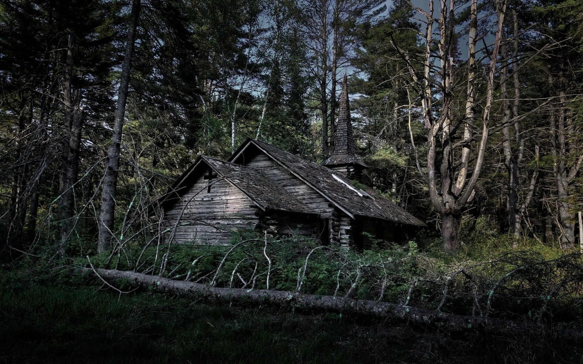 Лесная избушка фото Скачать обои лес, природа, храм, раздел природа в разрешении 1920x1200