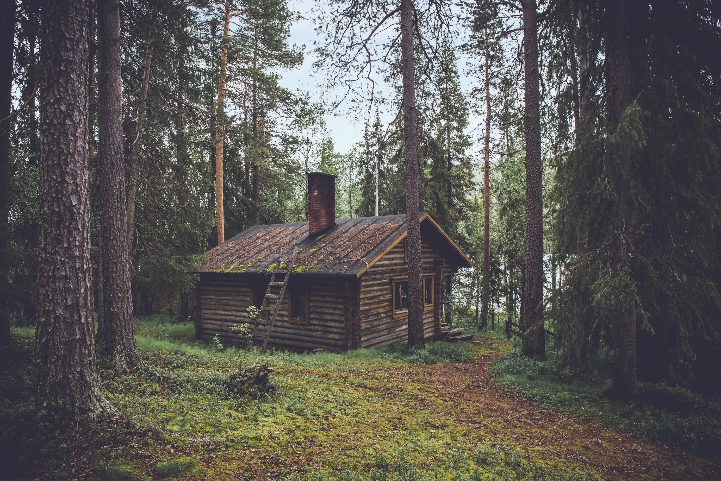 Лесная избушка фото Download wallpaper 3000x2000 wood, house, summer hd background