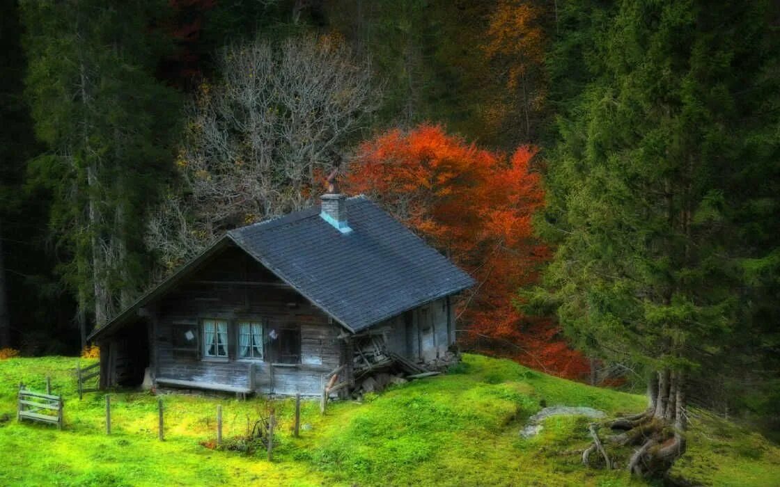 Лесная избушка фото Дом Опарина Forest cottage, Rustic cabin, Rustic cabin in the woods