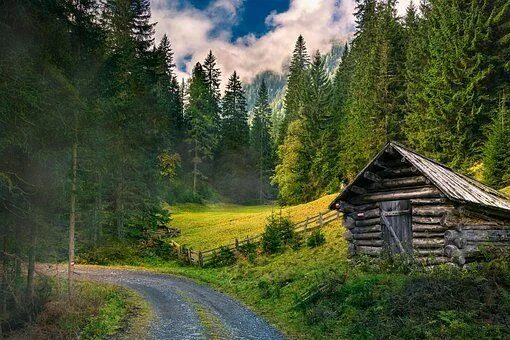 Лесная избушка фото Landscapes Forest Nature - Free photo on Pixabay Ideias de paisagismo, Paisagens