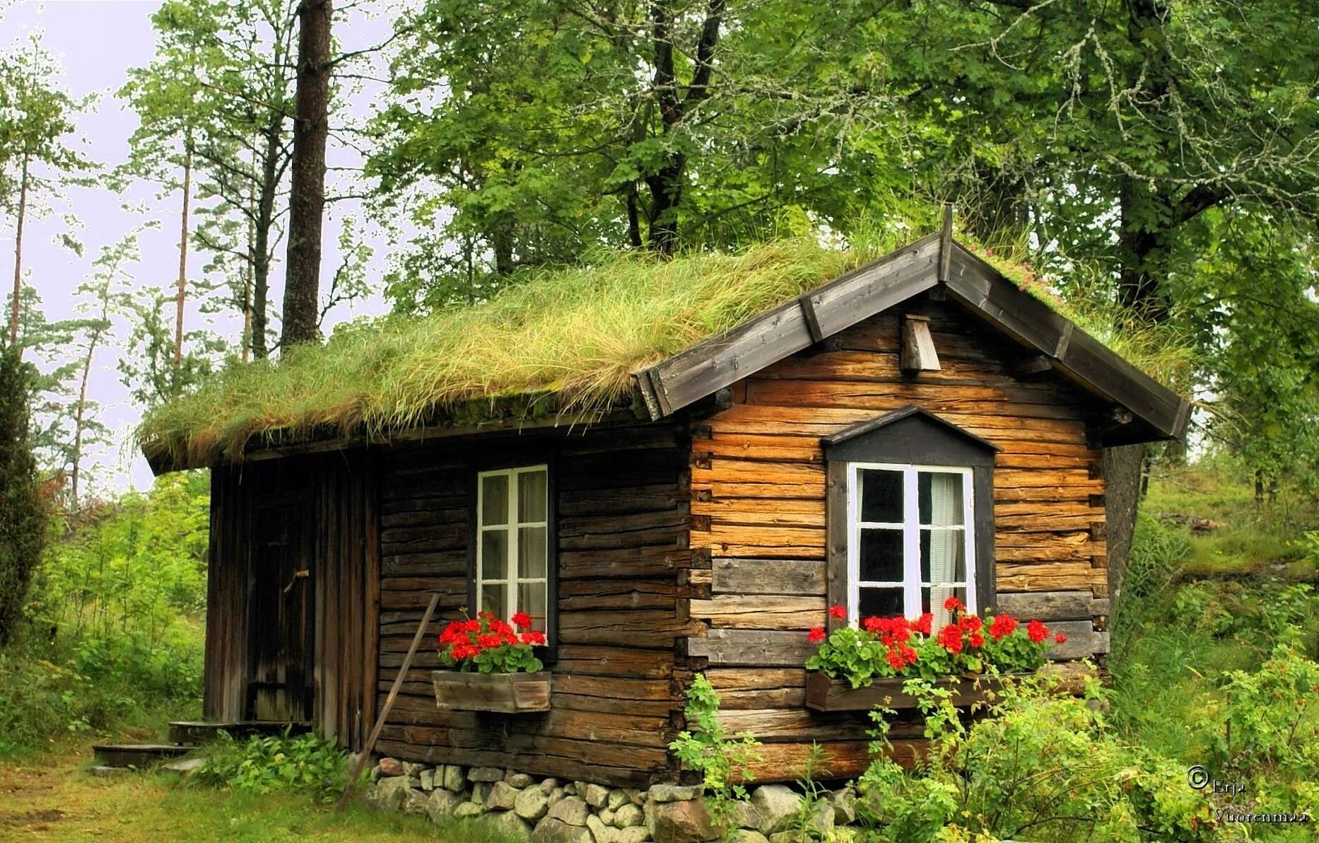 Лесная избушка фото Pin on cabins Cabins in the woods, Rustic cabin, Cabin life