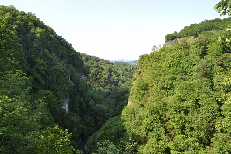Лесная краснодарский край сочи фото Новость: В сочинских лесах ввели ограничения для граждан