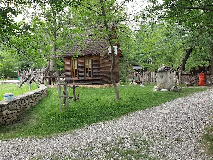 Лесная поляна грозный фото Лесная поляна грозный фото - Бека Тур