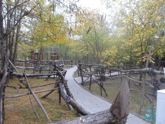 Лесная поляна грозный фото Лесная поляна, Грозный - фото ресторана - Tripadvisor