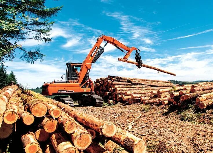 Лесная промышленность фото Pin by M. EQUIPMENT on Forestry machines Logging equipment, Heavy equipment, Big
