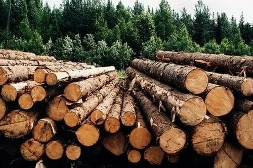 Лесная промышленность фото Dosochka, lumber, Perm, prospekt Dekabristov, 31 - Yandex Maps