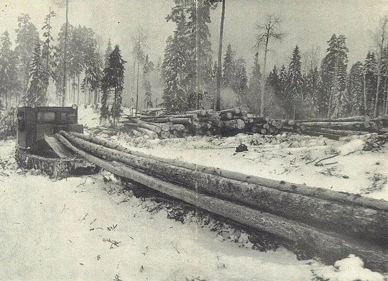 Лесная промышленность углегорска исторические фото Карелия - ООО "Амкодор-Онего"