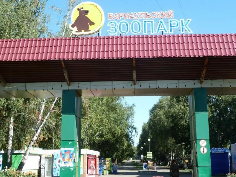 Лесная сказка барнаул фото Канадский черный волк и дальневосточный кот: в Барнаульском зоопарке новые обита