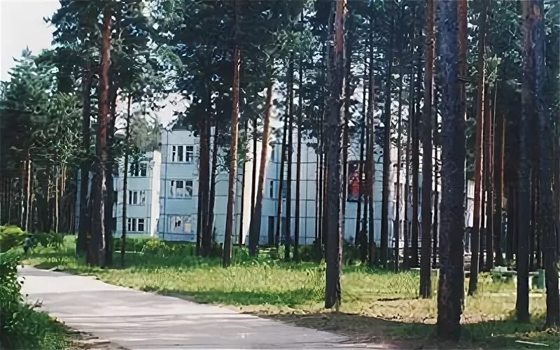 Лесная сказка череповец фото Лесная сказка - Детский лагерь для детей 7 - 16 лет, г. Череповец, Вологодская о