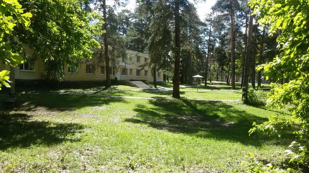 Лесная сказка самарская область красносамарский лес фото Лесная сказка, summer camp, Samara Region, Krasnosamarskiy les - Yandex Maps
