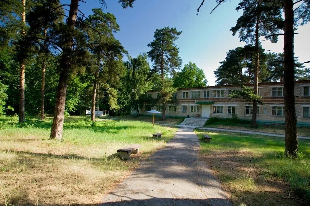 Лесная сказка самарская область красносамарский лес фото Лесная сказка - лагерь в г. Самара, Самарская область. Творческий лагерь для дет