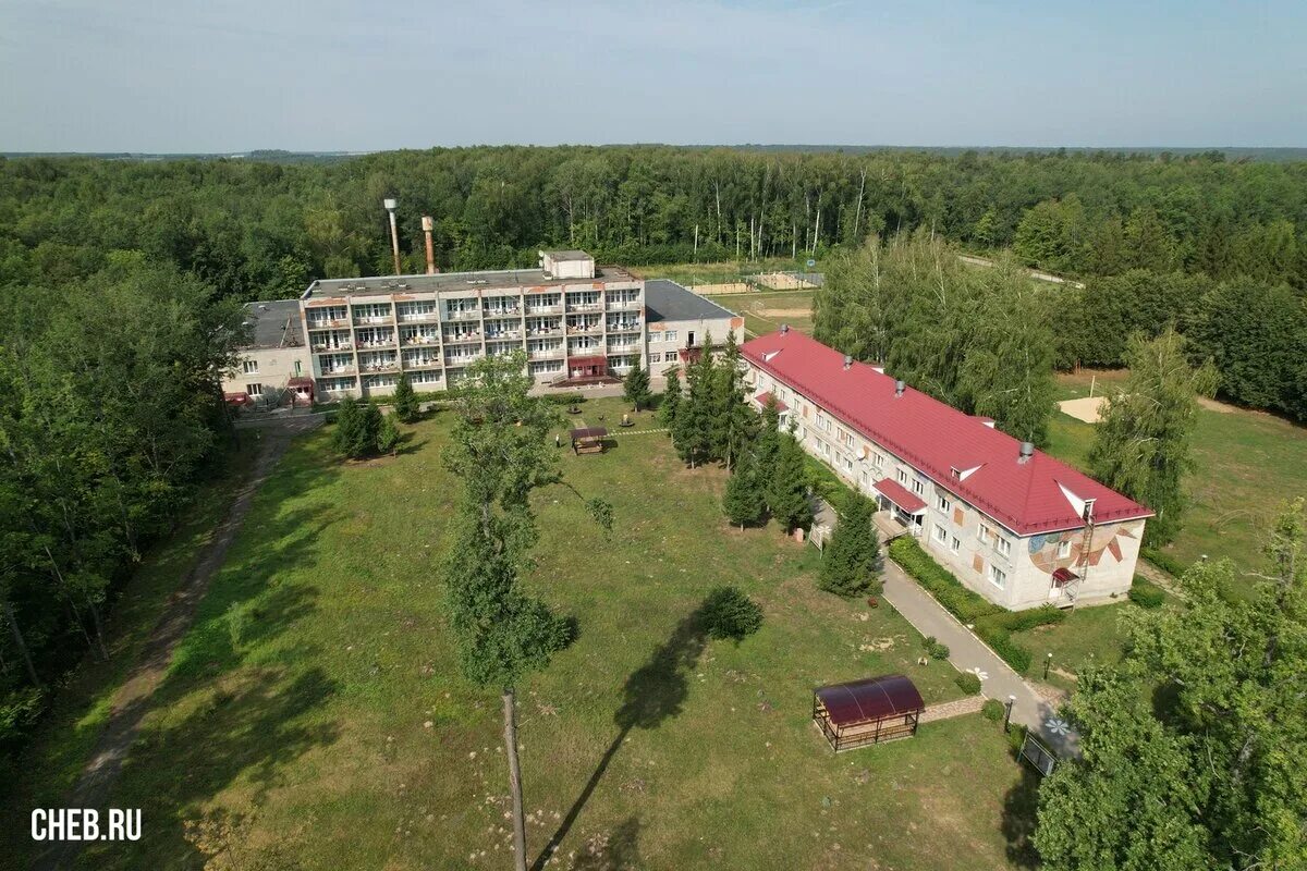 Лесная сказка ул энтузиастов 10а 2 фото Лагеря вы мои, лагеря - 4 про себя и про людей Дзен