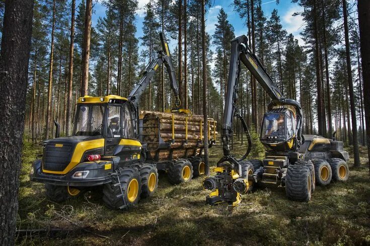 Лесная техника фото #forest #moss #arrow #wheel forestry equipment Ponsse Scorpion #Ponsse #logging 