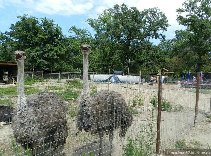 Лесная усадьба дербентский район фото Ресторан "Лесная Усадьба", отзыв от Maximus67 - "Зона отдыха на трассе Махачкала