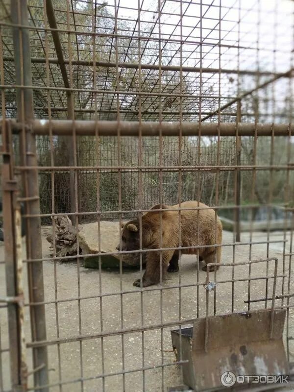 Лесная усадьба дербентский район фото Отзыв о Ресторанный комплекс "Лесная усадьба" (Россия, Падар) Единственный зоопа