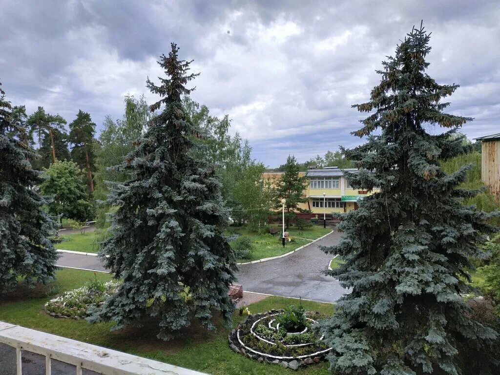Лесная жемчужина фото Лесная жемчужина, санаторий, посёлок Григорьевский, 1Б - Яндекс Карты