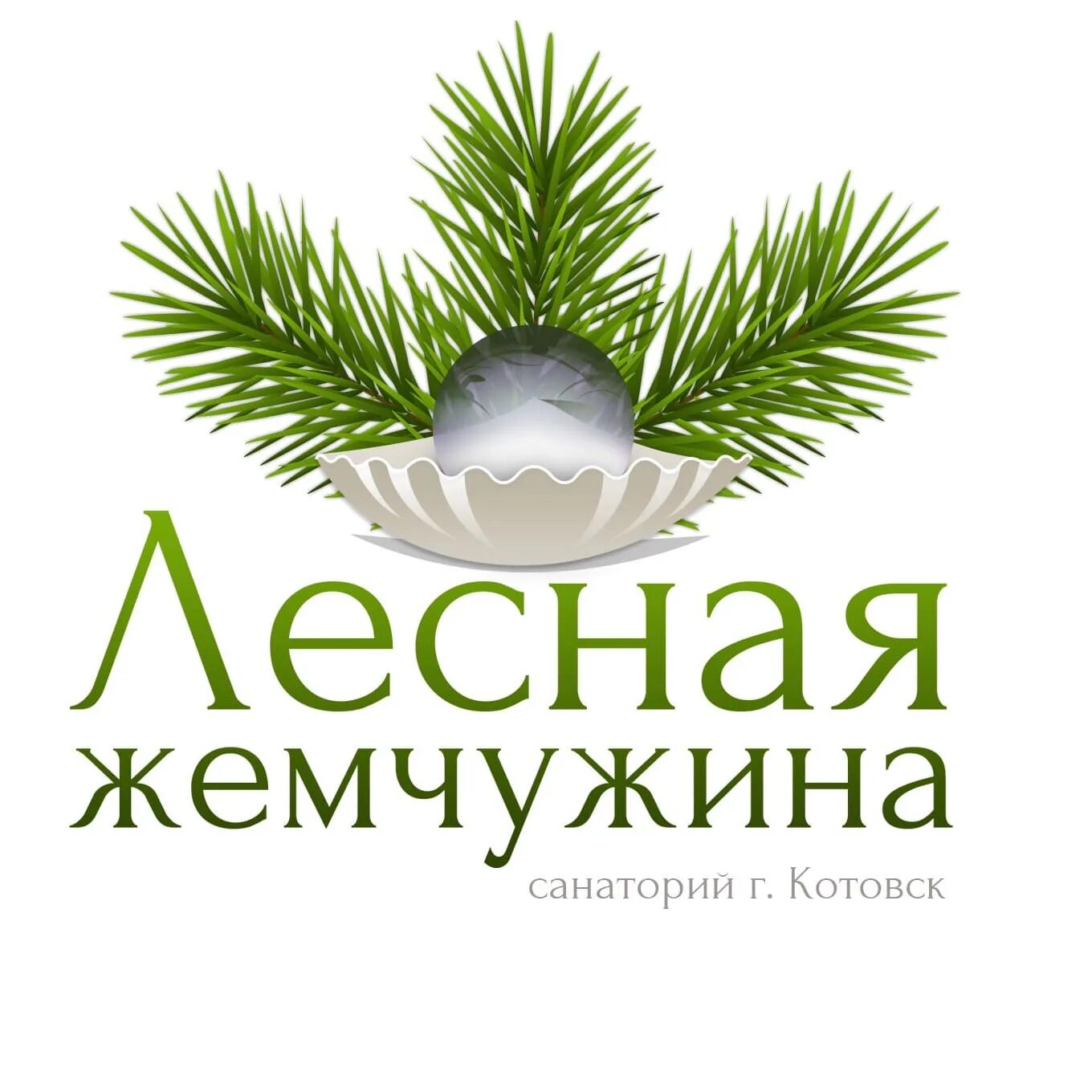 Лесная жемчужина фото Кинт:Управление санаторием