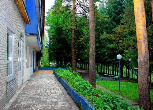 Лесное барнаул фото Фото: Лесные дали, гостиница, ул. Широкая Просека, 17, Барнаул - Яндекс Карты