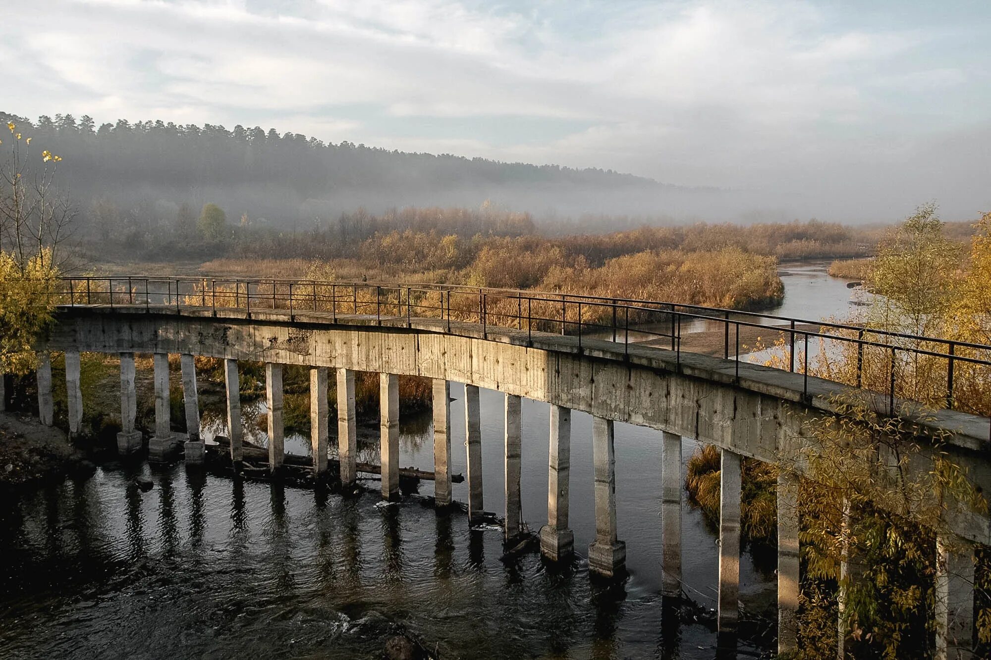 Лесное барнаул фото Берег детства