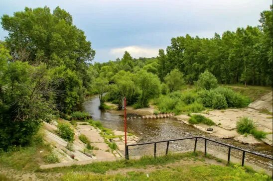 Лесное барнаул фото ТОЛК Группа на OK.ru Вступай, читай, общайся в Одноклассниках!