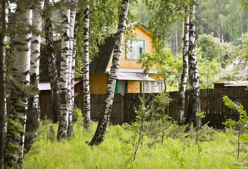 Лесное березовая ул 9 фото и видео Country house stock photo. Image of traditional, deciduous - 24175468