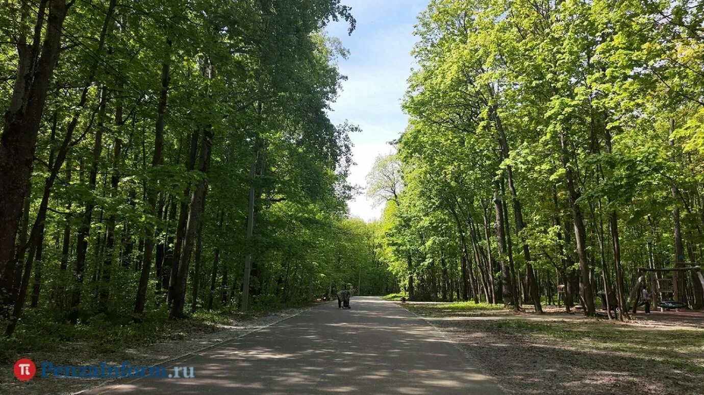 Лесное кафе пенза олимпийская аллея фото Большинство пензенцев попросили оставить Олимпийскую аллею в покое