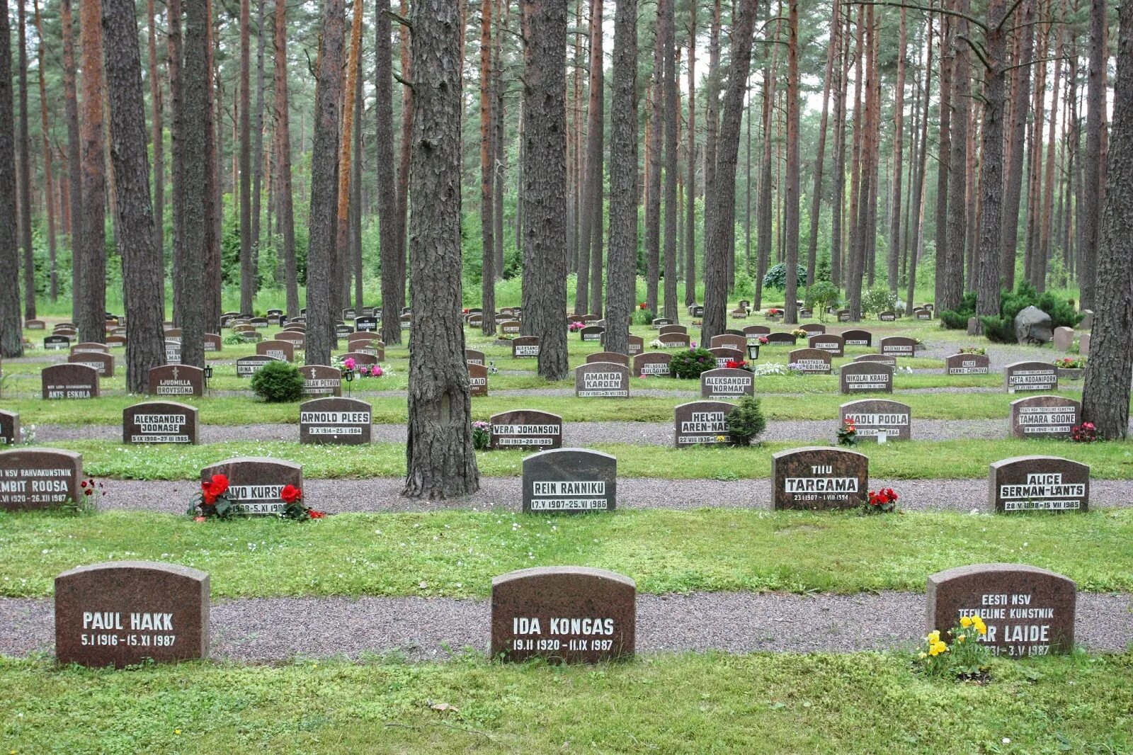 Лесное кладбище фото Estonia - Paradise of the North: Metsakalmistu Cemetery / Tallinn Forest Cemeter