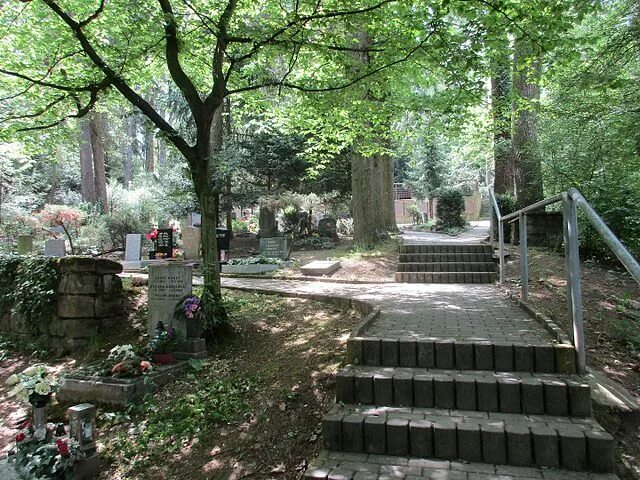 Лесное кладбище фото Cimetière boisé de Motol - Wikipédia