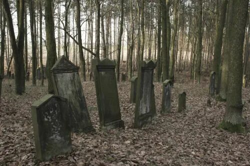 Лесное кладбище фото An Old Cemetery in the Heart of a Forest