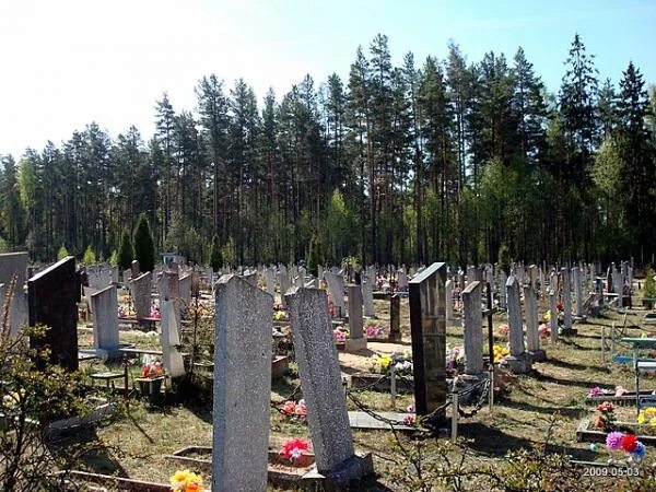 Лесное кладбище фото Кладбище "Лесное"