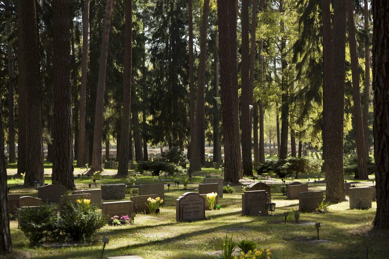 Лесное кладбище фото Кладбище лесное фото YugNash.ru