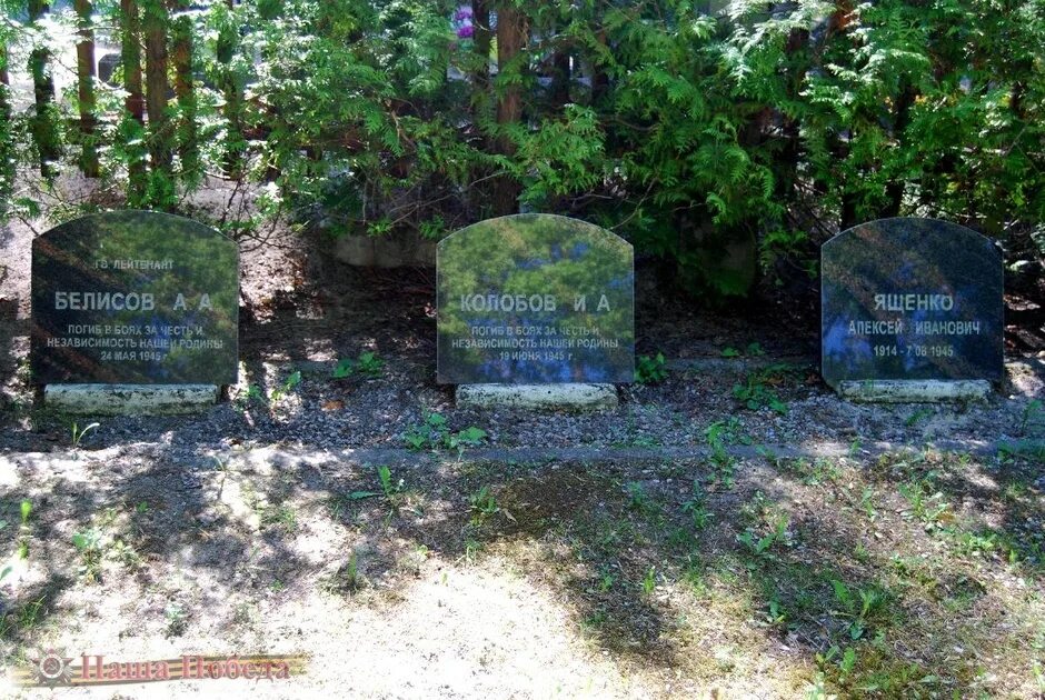 Лесное кладбище фото Прибалтийский фронт Лесное кладбище