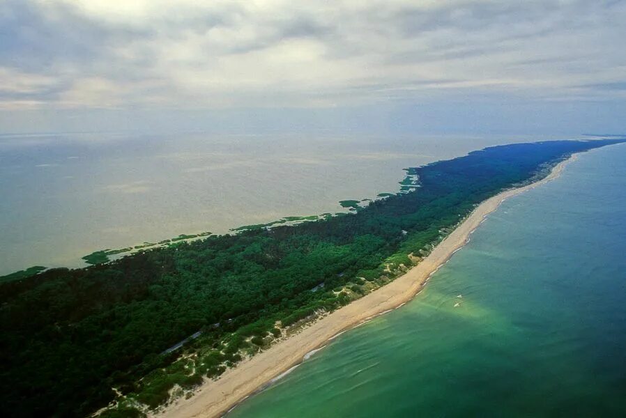 Лесное куршская коса фото Curonian Spit Natural heritage, Beautiful nature, Russia
