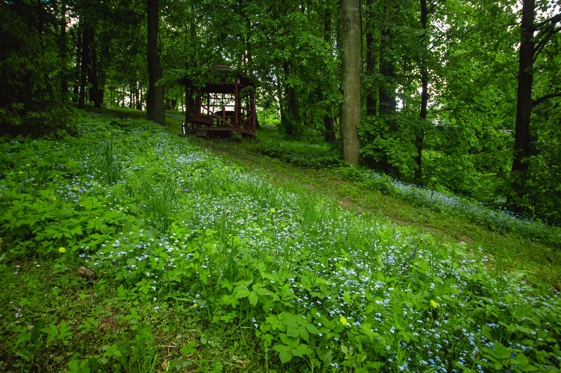 Лесное московская область фото Фореста отдых в подмосковье фото Best-Tourism.ru