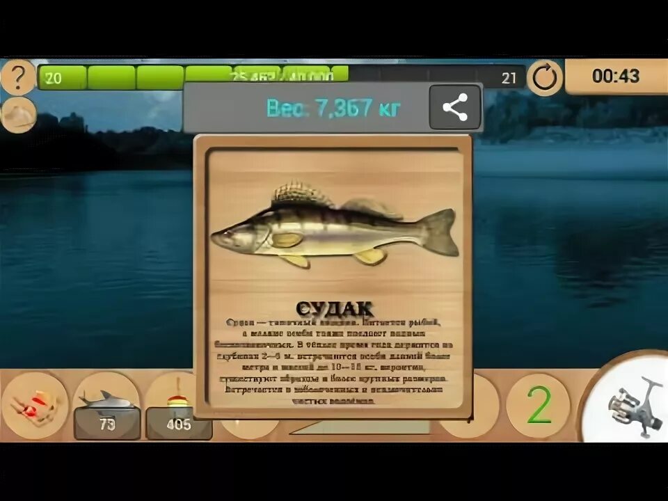 Лесное озеро карп на что ловить Реальная рыбалка улов судака - YouTube