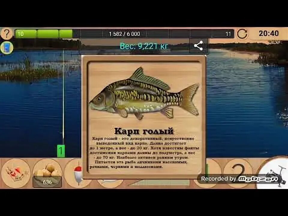 Лесное озеро карп на что ловить Реальная Рыбалка-Ловля Карпов - YouTube