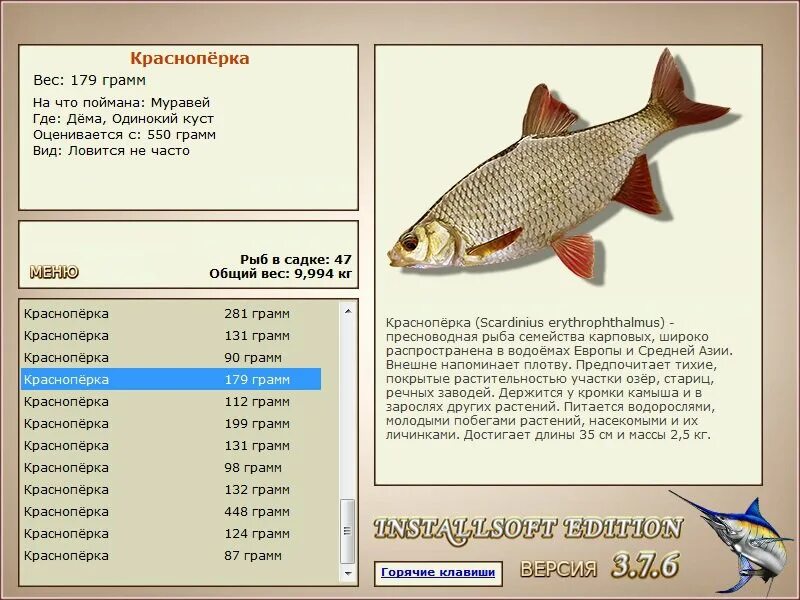 Лесное озеро красноперка на что ловить турниры * РУССКАЯ РЫБАЛКА