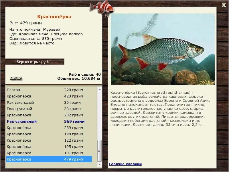 Лесное озеро красноперка на что ловить Елецкое колесо