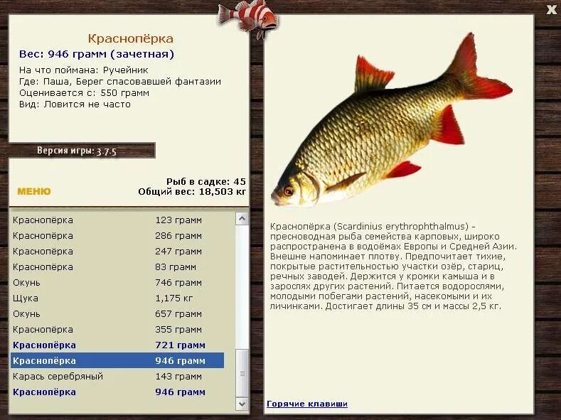 Лесное озеро красноперка на что ловить турниры * РУССКАЯ РЫБАЛКА