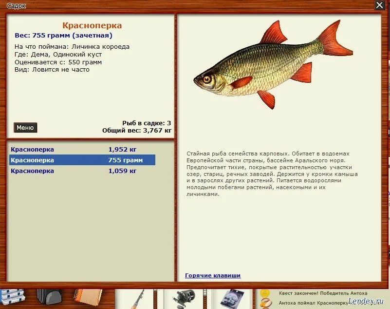 Лесное озеро красноперка на что ловить форум игры Русская рыбалка