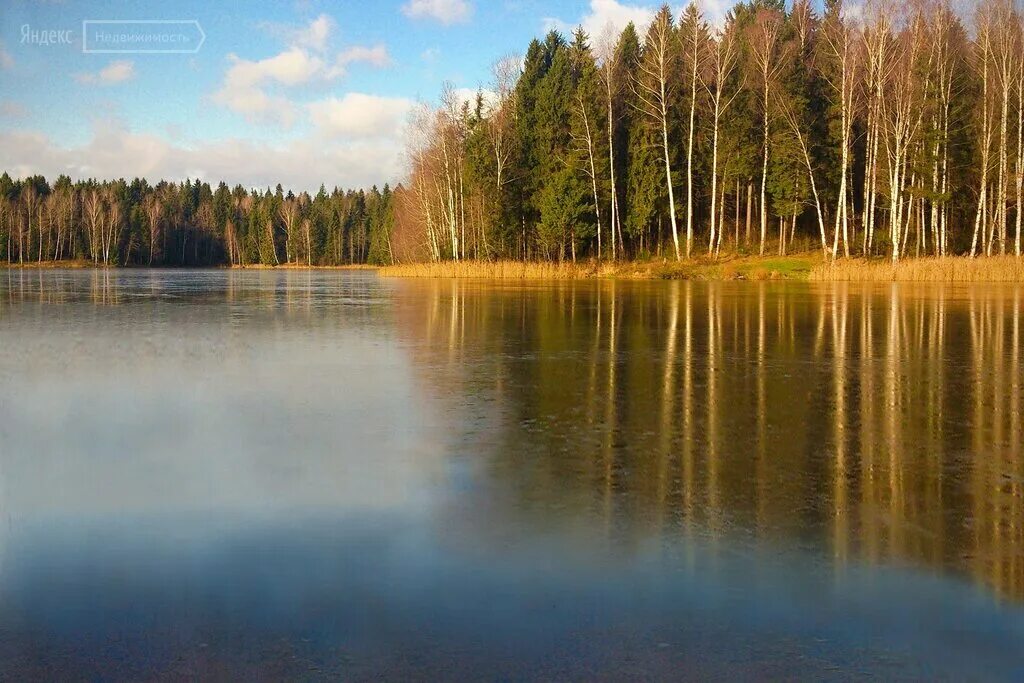 Лесное озеро сергиев посад фото Фото: Лагуна Парк, коттеджный посёлок, Московская область, Можайский городской о