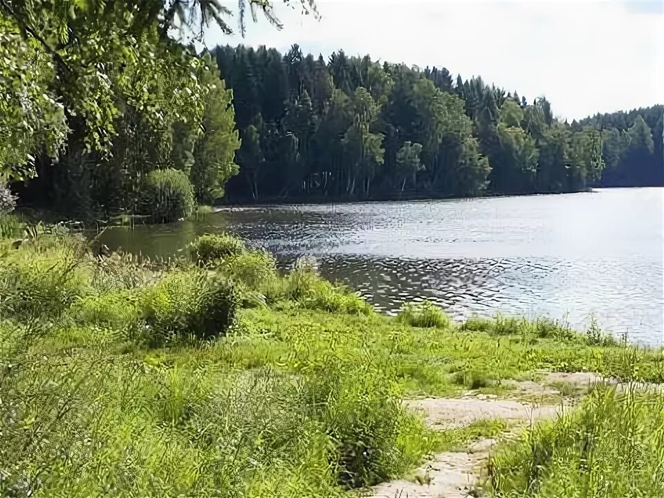 Лесное озеро сергиев посад фото Купание на озере.Облачно. - YouTube