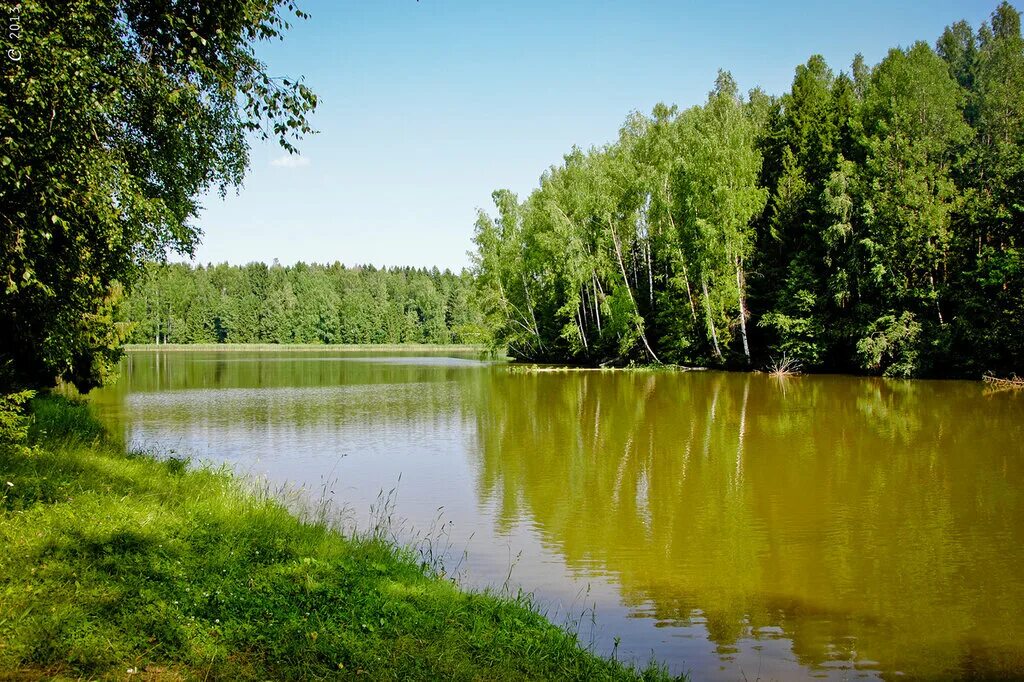 Лесное озеро сергиев посад фото Озеро в сергиевом посаде - фото