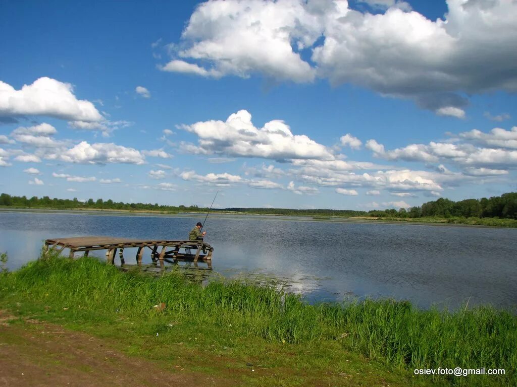 Лесное тверская область фото Фото Лесное.Озеро в городе Лесное