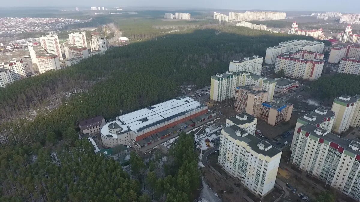 Лесное воронеж фото Северный лес в Воронеже объявили памятником природы - Новости Воронежа и Воронеж